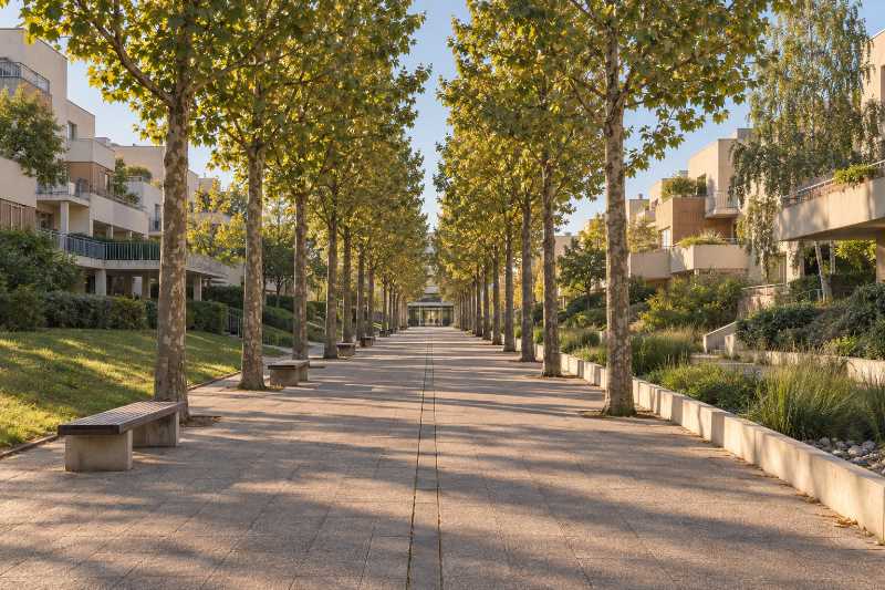 Long mail planté d'arbres alignés menant jusqu'à l'entrée d'un immeuble, dallage dégagé